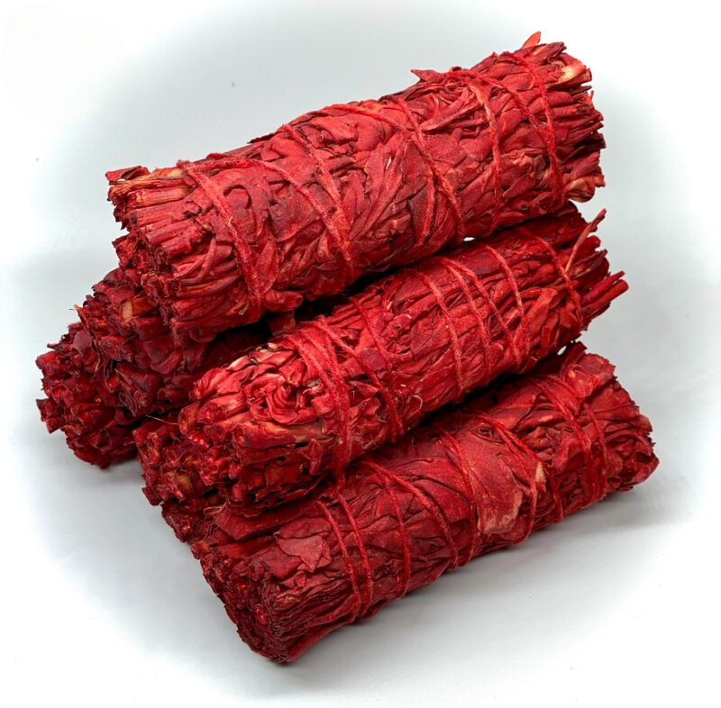 Red Dragon blood salvie 10 cm