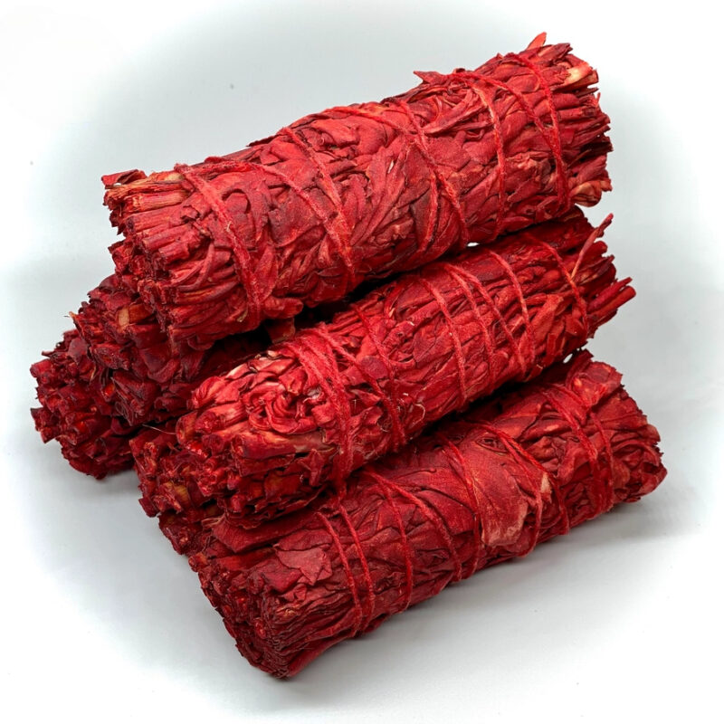 Red Dragon blood salvie 10 cm