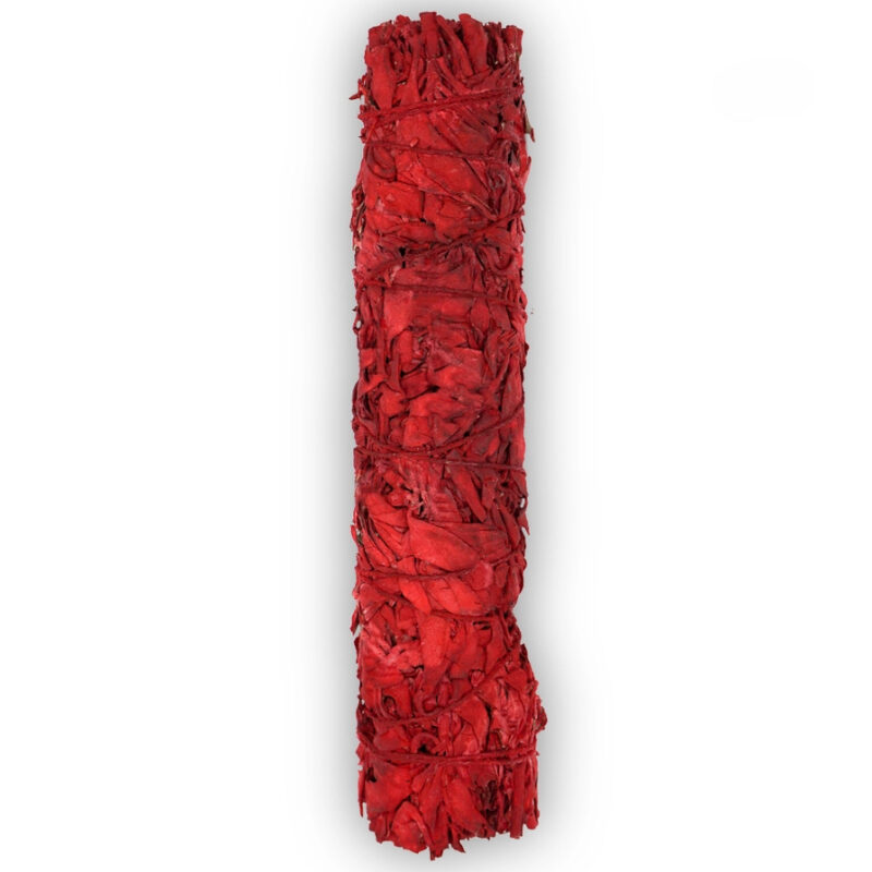 Dragon blood Salvie 22,9 cm